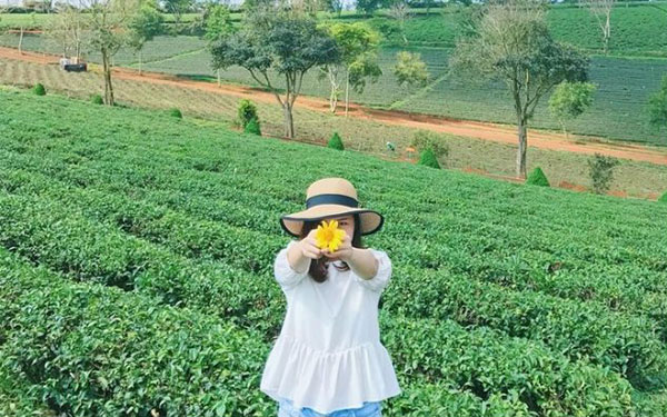 các điểm du lịch đà lạt